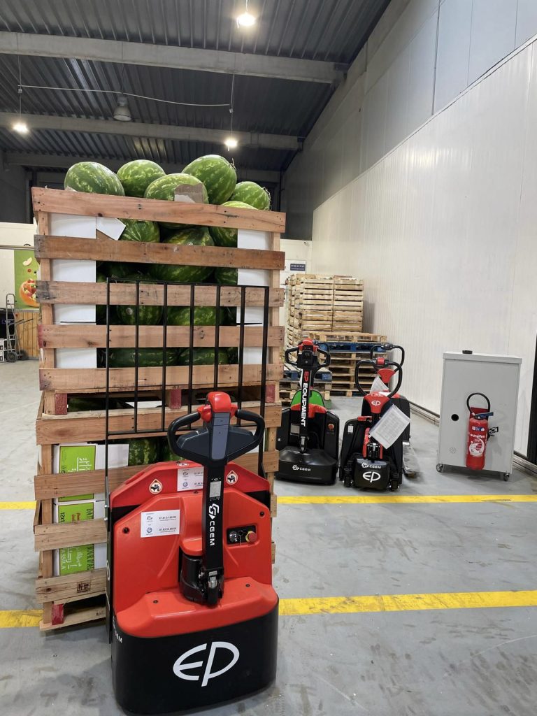 Heavy-Duty Li-on Electric pallet truck WPL202