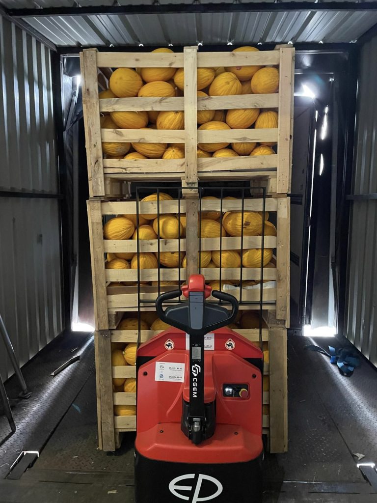 Heavy-Duty Li-on Electric pallet truck WPL202